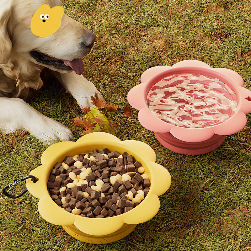 Gamelle pliable pour chien, gamelle de voyage pliable en silicone pour animaux de compagnie, sans BPA, avec mousqueton