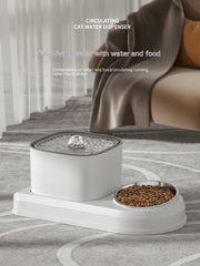 Cat Bowl Automatic Drinking Water Feeder All-in-one Machine