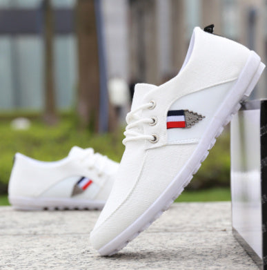 Chaussures en toile à semelle souple pour homme, chaussures de sport et de loisirs en tissu ancien de Pékin, chaussures à pois